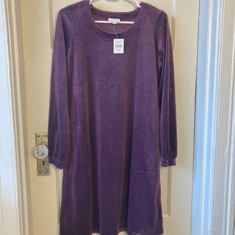 J. Jill Pure Jill Huckleberry Purple Velvet Velour Shift Dress